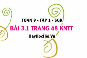 Bài 3.1 trang 48 Toán 9 tập 1 Kết nối tri thức